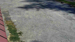 Nástup na běžecké tratě