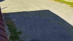 Nástup na běžecké tratě