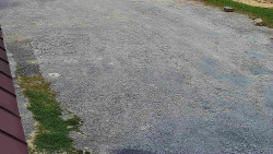 Nástup na běžecké tratě