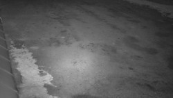 Nástup na běžecké tratě