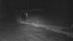 Nástup na běžecké tratě