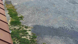 Nástup na běžecké tratě