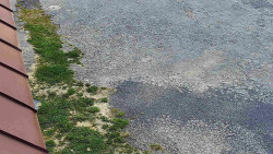 Nástup na běžecké tratě