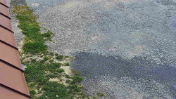 Nástup na běžecké tratě