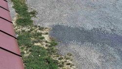 Nástup na běžecké tratě