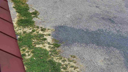 Nástup na běžecké tratě