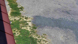 Nástup na běžecké tratě