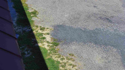 Nástup na běžecké tratě