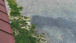 Nástup na běžecké tratě