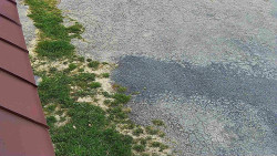 Nástup na běžecké tratě