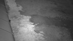 Nástup na běžecké tratě