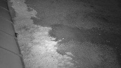 Nástup na běžecké tratě