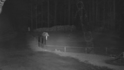 Nástup na běžecké tratě