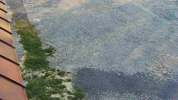 Nástup na běžecké tratě