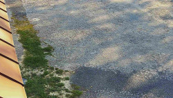 Nástup na běžecké tratě