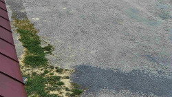 Nástup na běžecké tratě