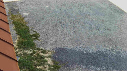 Nástup na běžecké tratě