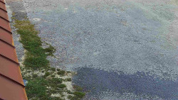 Nástup na běžecké tratě