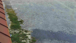 Nástup na běžecké tratě