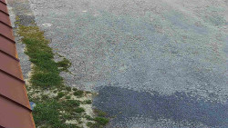 Nástup na běžecké tratě