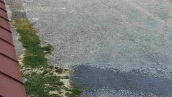 Nástup na běžecké tratě