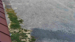 Nástup na běžecké tratě