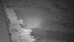 Nástup na běžecké tratě