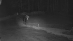 Nástup na běžecké tratě