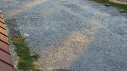 Nástup na běžecké tratě