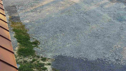 Nástup na běžecké tratě