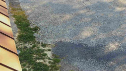 Nástup na běžecké tratě