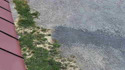 Nástup na běžecké tratě