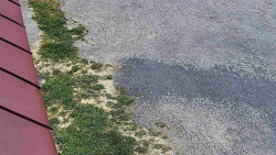 Nástup na běžecké tratě