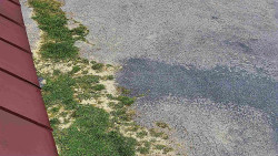 Nástup na běžecké tratě