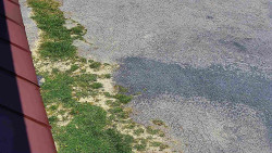 Nástup na běžecké tratě