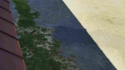 Nástup na běžecké tratě