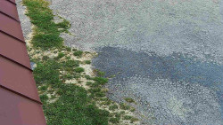 Nástup na běžecké tratě