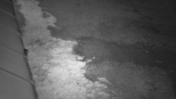 Nástup na běžecké tratě