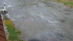 Nástup na běžecké tratě