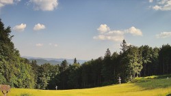 Nástup na běžecké tratě
