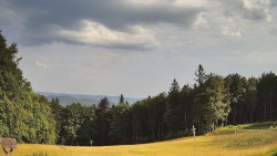 Betreten der Laufbahnen