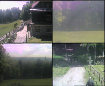 Snímek    9.5.2025 v 11:45