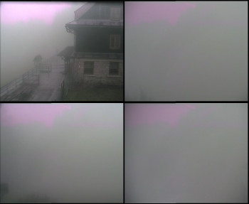 Snímek 17.11.2025 v 08:30