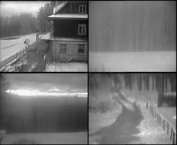 Snímek 18.11.2025 v 06:45