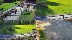 Sdružený snímek