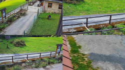 Sdružený snímek