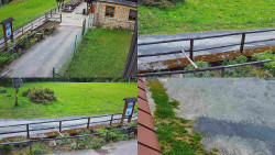 Sdružený snímek