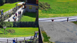 Sdružený snímek