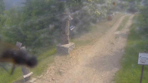 Skiareál Bílá - Bílá - běžecká trať - 23.6.2025 v 09:55