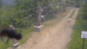 Skiareál Bílá - Bílá - běžecká trať - 23.6.2025 v 11:55